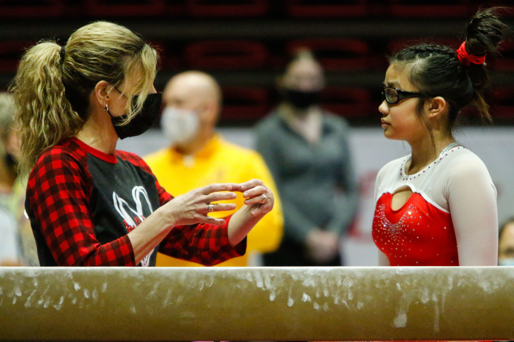 Gallery: Gymnastics state finals